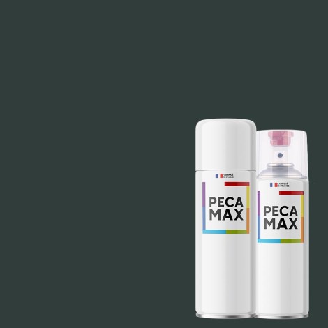 Peinture RAL 6012 Vert noir. Aérosols 400 ml