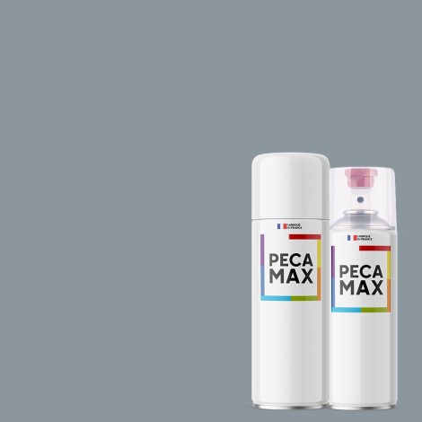 Pintura RAL 7001 Gris...