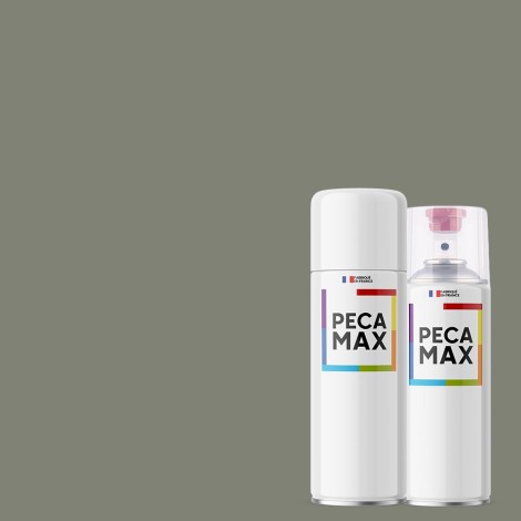 Pintura RAL 7033 Gris...