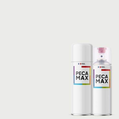 Pintura RAL 9003 Blanco de...