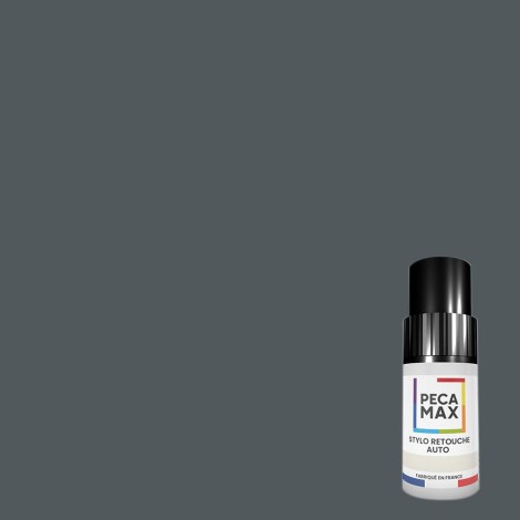 Peinture RAL 7011 Gris fer. Flacons retouche 9 ml