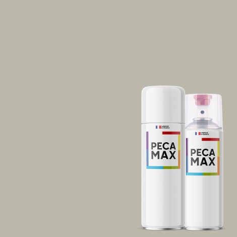 Pintura AFNOR A290 Beige...