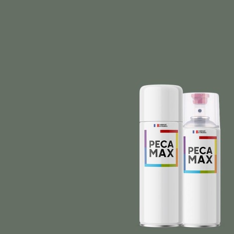 Pintura AFNOR A430...