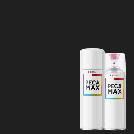 Pintura AFNOR A603 Negro....