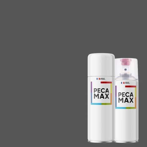 Peinture AFNOR A607 Gris foncé. Aérosols 400 ml