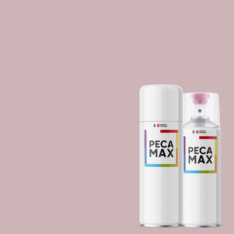 Pintura AFNOR A860...
