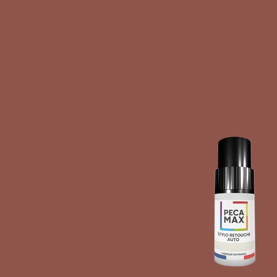 Peinture AFNOR A020 Marron clair. Flacons retouche 9 ml