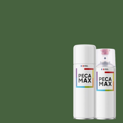 Peinture British Standard 381C 225 Light Brunswick green. Aérosols 400 ml
