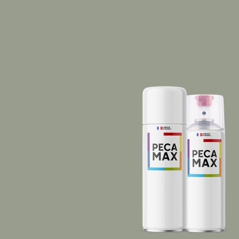 Peinture British Standard 381C 630 French grey. Aérosols 400 ml