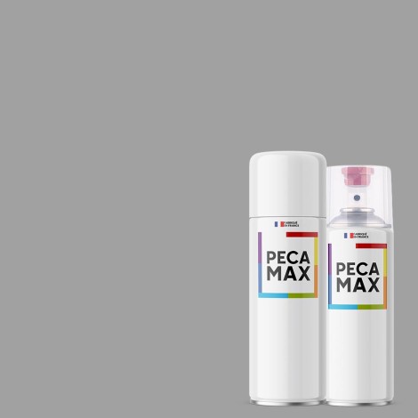 Pintura RAL 9006 Aluminio...