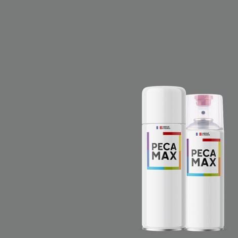 Peinture RAL 9023 Gris foncé métal. Aérosols 400 ml