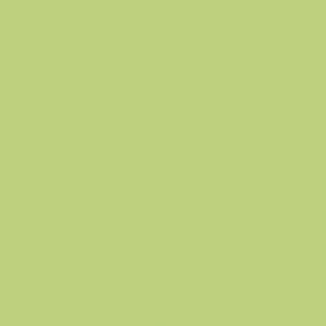 Peinture NCS S 1040-G50Y