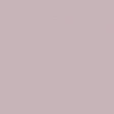 Peinture NCS S 2010-R20B