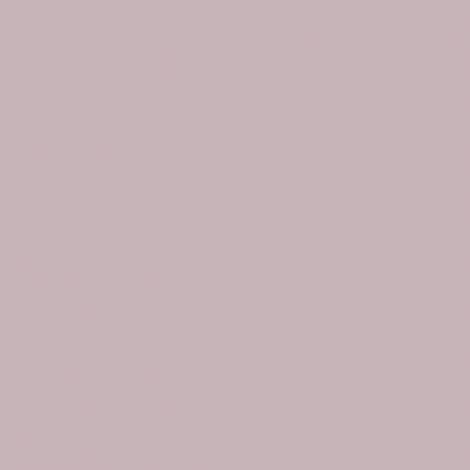 Peinture NCS S 2010-R20B