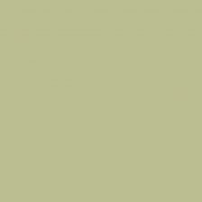 Peinture NCS S 2020-G60Y