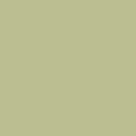 Peinture NCS S 2020-G60Y