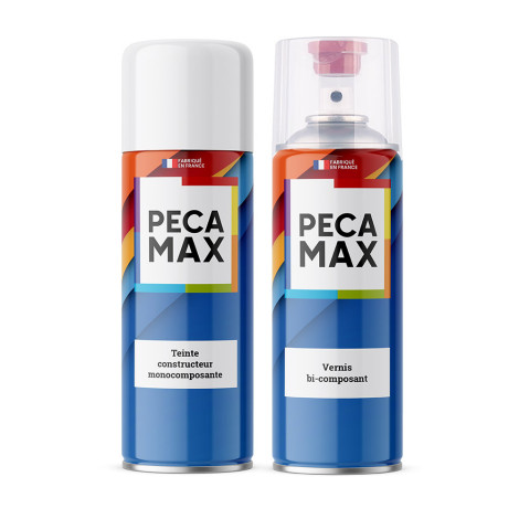 Peinture Voiture RENAULT KNX GRIS ARGENT Métallisée Peinture Voiture RENAULT KNX GRIS ARGENT Métallisée