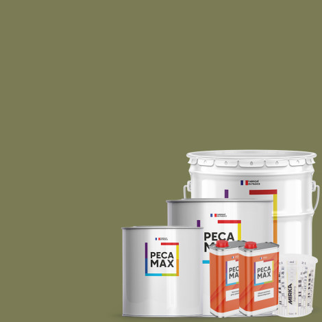 Peinture RAL Design 110 50 20. Pots