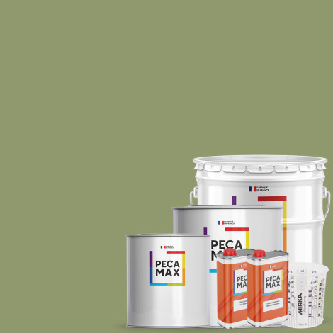 Pintura RAL Design 120 60...