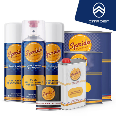 Peinture Sprido CITROËN ETC/94 GRIS BASALTE Opaque