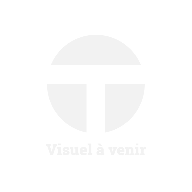 Vernici per Scania