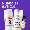 Peinture AFNOR a&eacute;rosols, kits peinture et flacons retouche