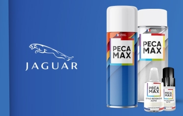 Trouver le code peinture de votre Jaguar