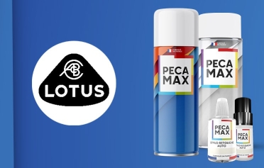 Trouver le code peinture de votre Lotus
