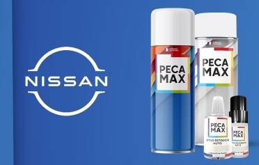 Trouver le code peinture de votre Nissan