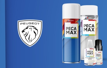 Trouver le code peinture de votre Peugeot